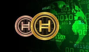 Koin Crypto Hebera