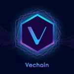 Risiko Menggunakan VeChain