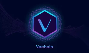 Risiko Menggunakan VeChain