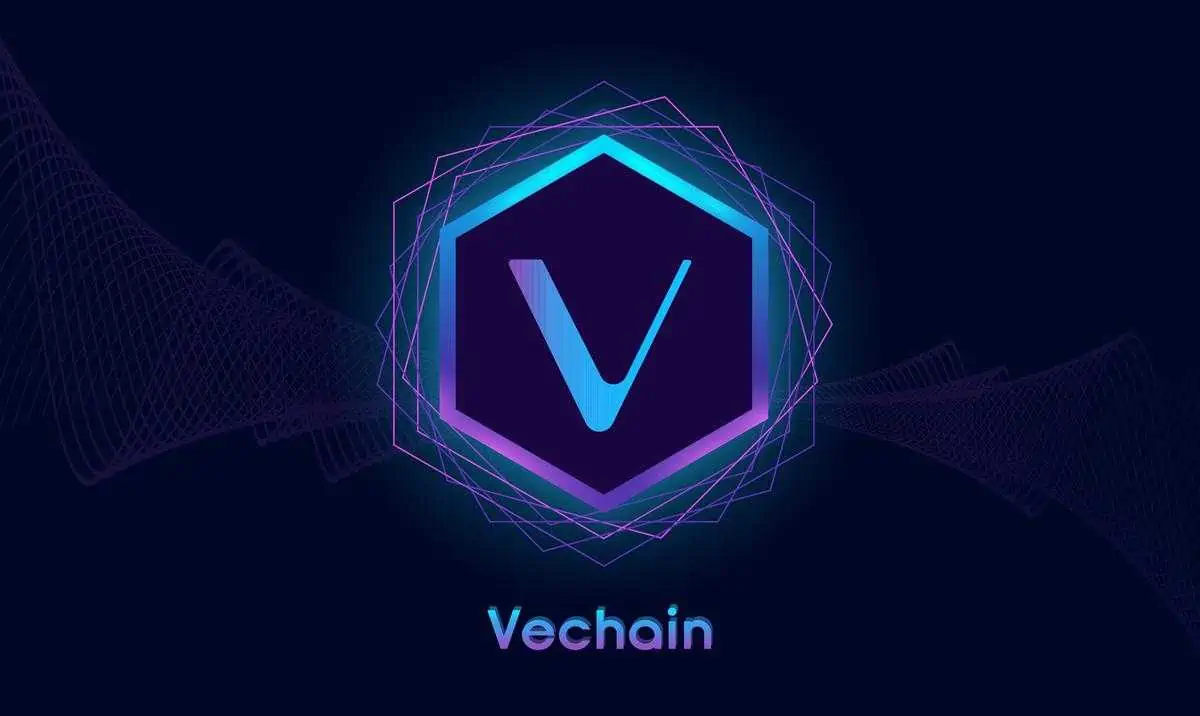 Risiko Menggunakan VeChain