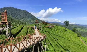 Tempat Wisata Pangalengan